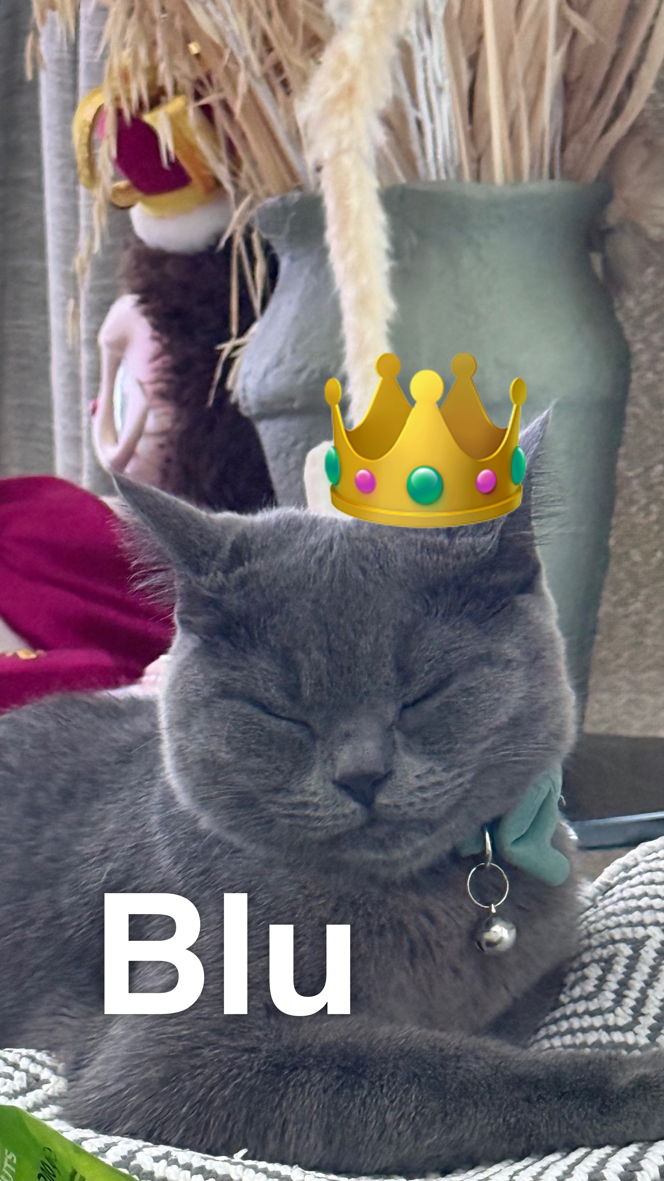 Blu Queen