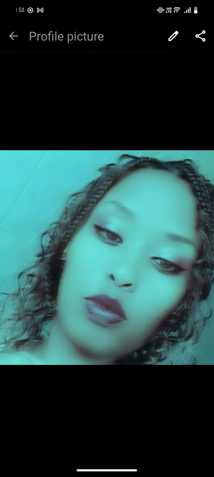 Nairobi rose